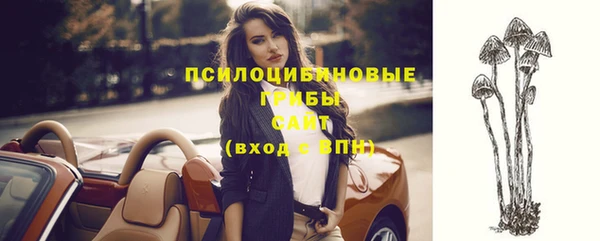 дмт Верхний Тагил