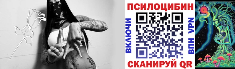 Галлюциногенные грибы мицелий  Славянск-на-Кубани 