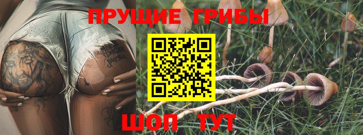 Галлюциногенные грибы Magic Shrooms Славянск-на-Кубани